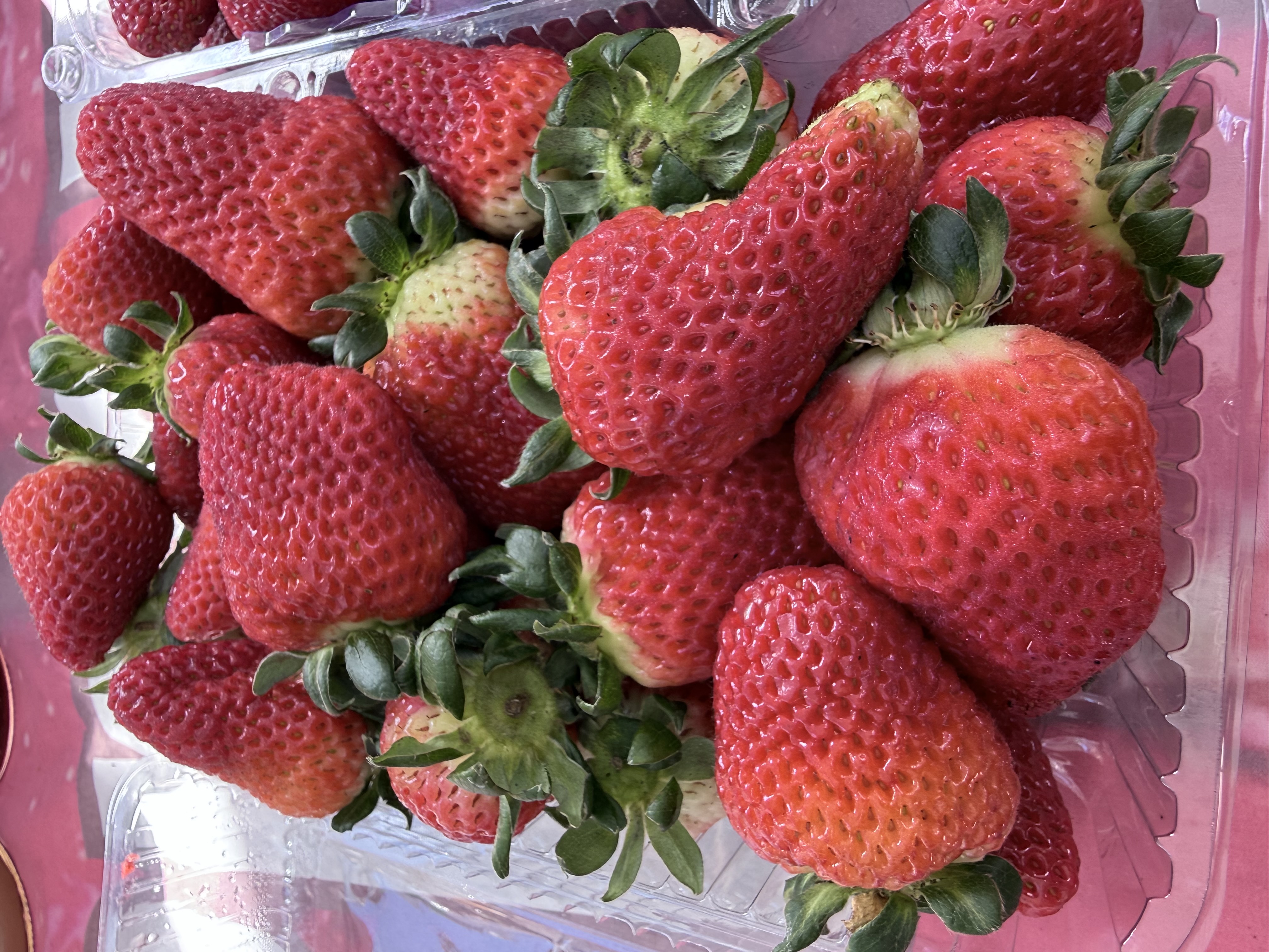 logomarca Doces Silber- Parada dos Morangos